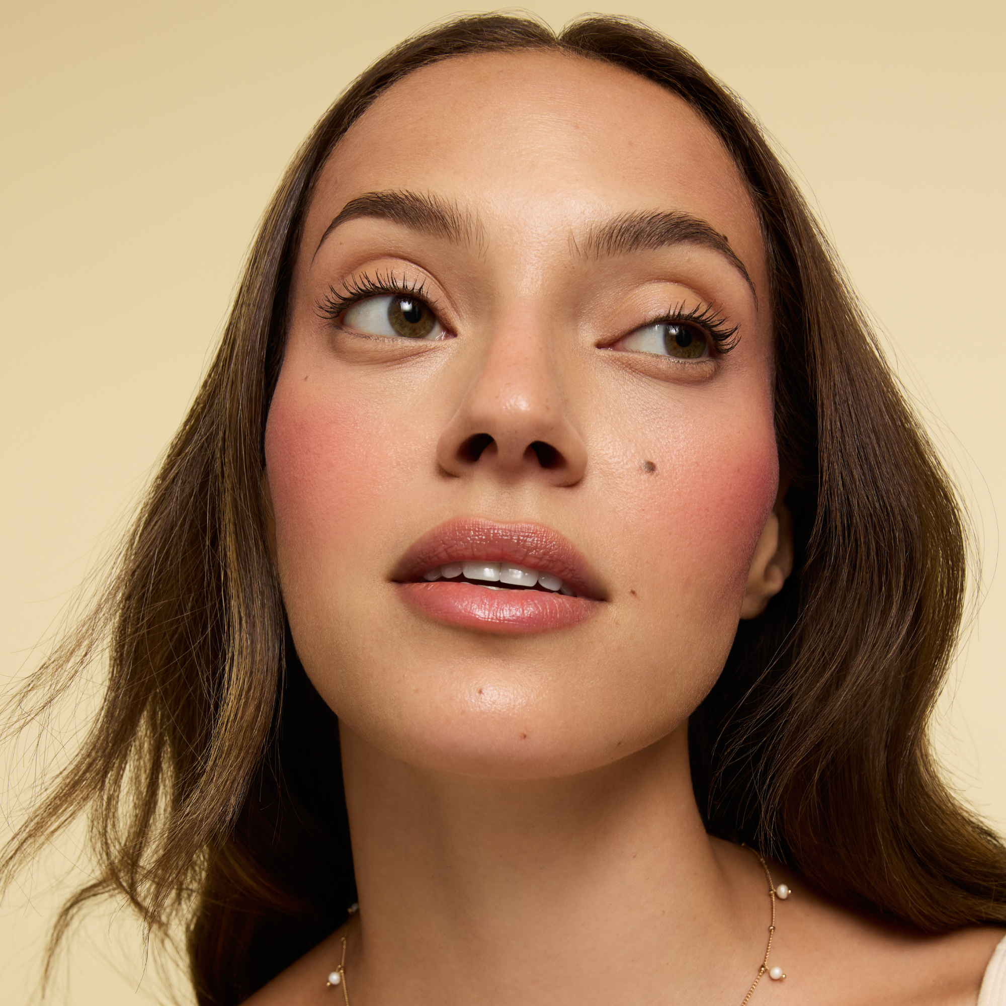 Fold Out® Blush Refill