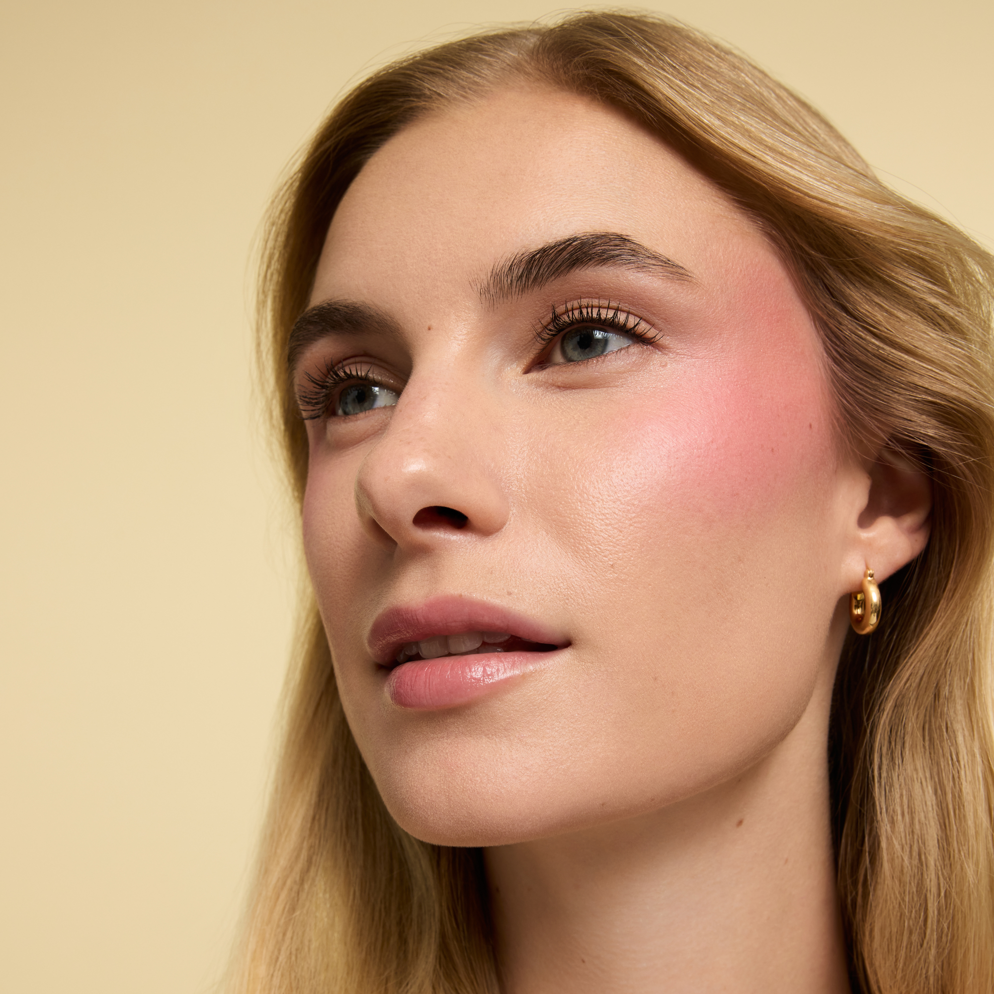 Fold Out® Blush Refill