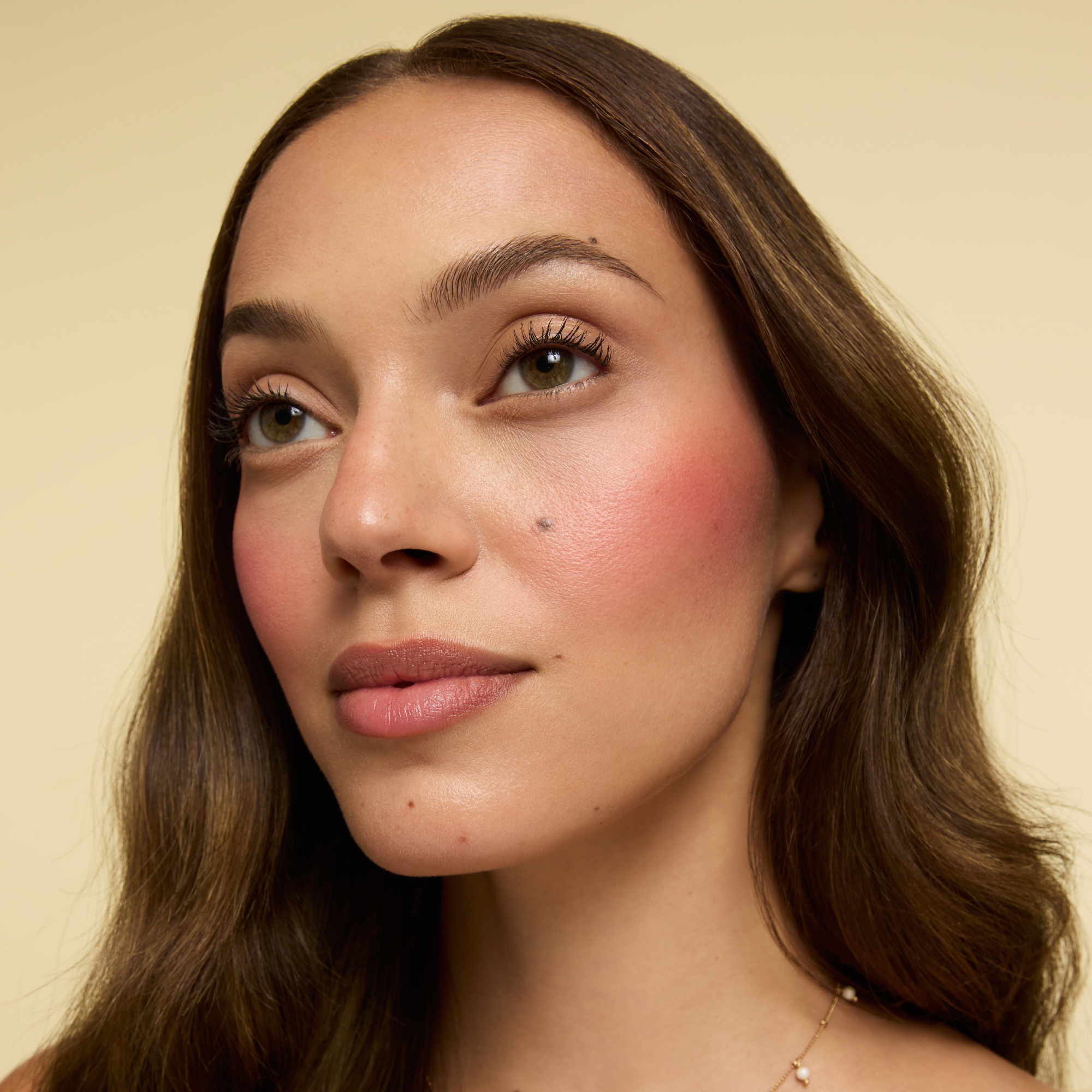 Fold Out® Blush Refill